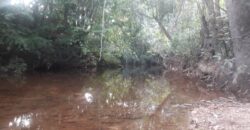 Lote 650m2 – Rio – Povoado do Moinho- Alto Paraíso de Goiás