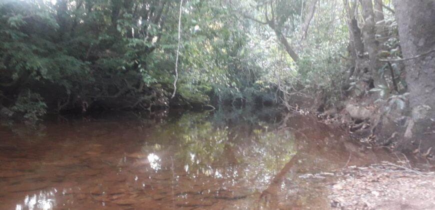 Lote 650m2 – Rio – Povoado do Moinho- Alto Paraíso de Goiás