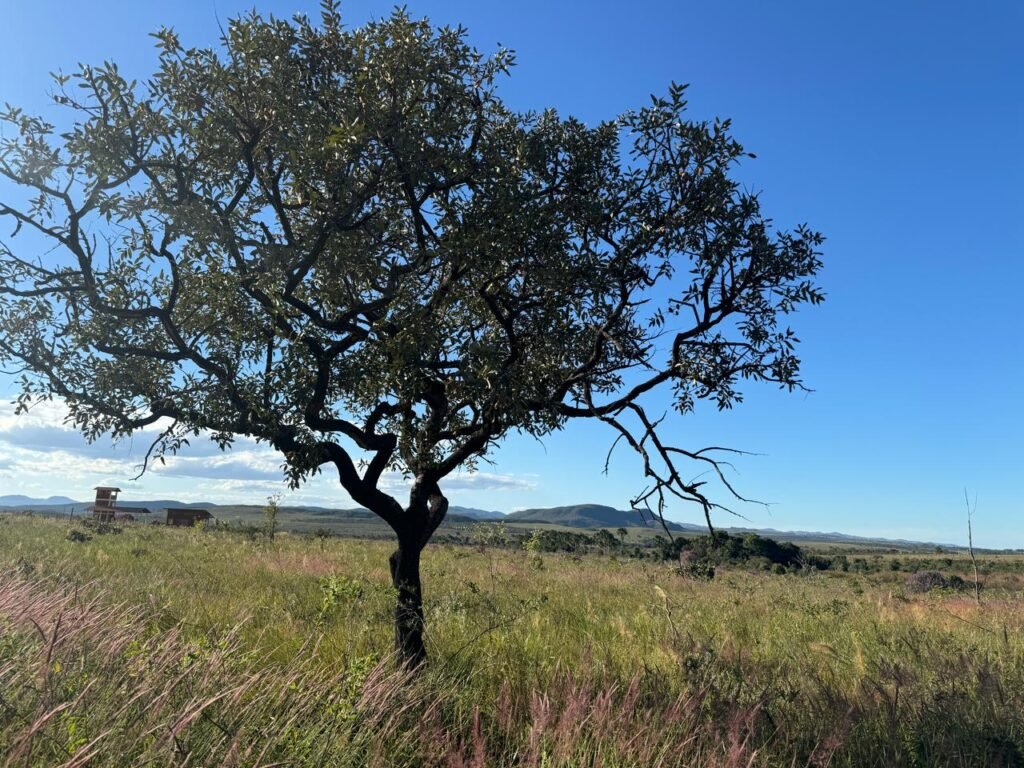 Chácara 8ha – Benfetirória na região do Vale Verde – Alto Paraíso – Chapada dos Veadeiros