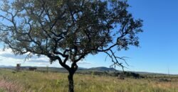Chácara 8ha – Benfetirória na região do Vale Verde – Alto Paraíso – Chapada dos Veadeiros Chácara 8ha – Benfetirória na região do Vale Verde – Alto Paraíso – Chapada dos Veadeiros