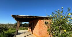 Chácara 8ha – Benfetirória na região do Vale Verde – Alto Paraíso – Chapada dos Veadeiros Chácara 8ha – Benfetirória na região do Vale Verde – Alto Paraíso – Chapada dos Veadeiros