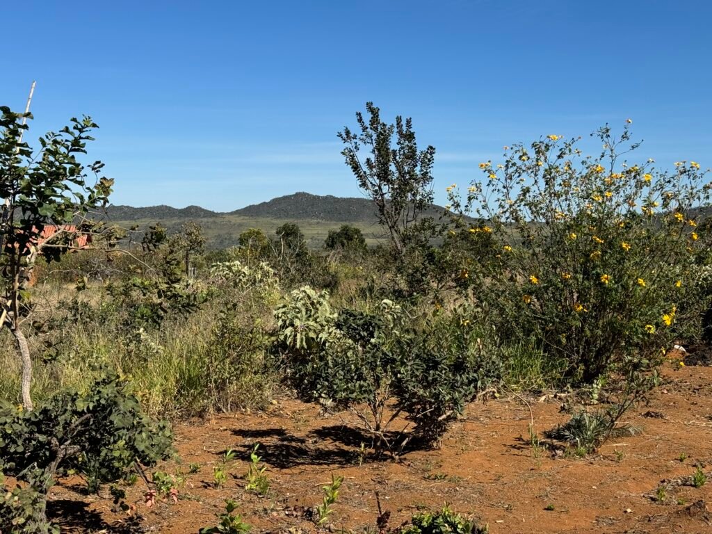 Casa em Ecovila IBC – 4km de Alto Paraíso de Goiás