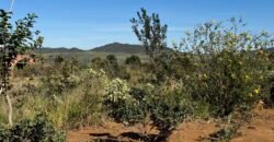 Casa em Ecovila IBC – 4km de Alto Paraíso de Goiás Casa em Ecovila IBC – 4km de Alto Paraíso de Goiás