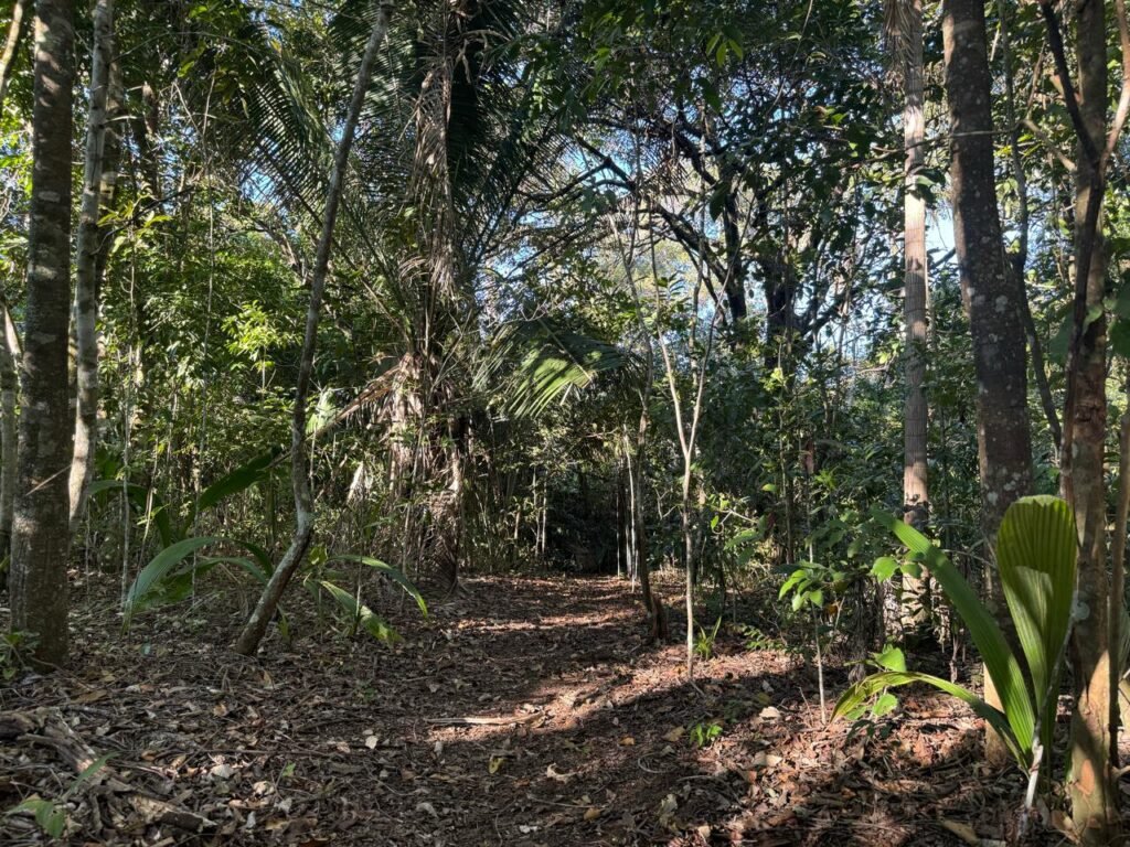 Chácara 8ha – Benfetirória na região do Vale Verde – Alto Paraíso – Chapada dos Veadeiros