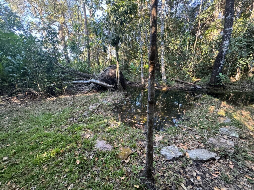 Chácara 8ha – Benfetirória na região do Vale Verde – Alto Paraíso – Chapada dos Veadeiros