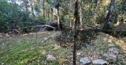 Chácara 8ha – Benfetirória na região do Vale Verde – Alto Paraíso – Chapada dos Veadeiros Chácara 8ha – Benfetirória na região do Vale Verde – Alto Paraíso – Chapada dos Veadeiros