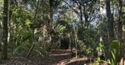 Chácara 8ha – Benfetirória na região do Vale Verde – Alto Paraíso – Chapada dos Veadeiros Chácara 8ha – Benfetirória na região do Vale Verde – Alto Paraíso – Chapada dos Veadeiros