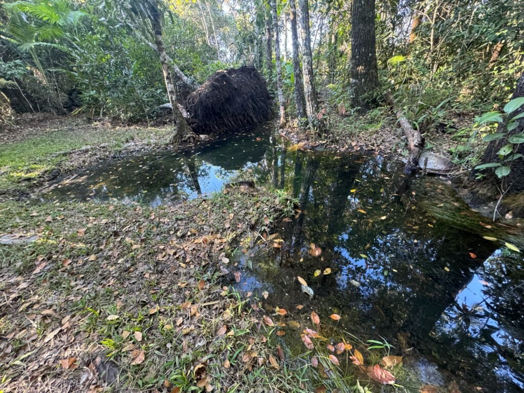 Chácara 8ha – Benfetirória na região do Vale Verde – Alto Paraíso – Chapada dos Veadeiros
