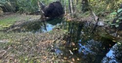 Chácara 8ha – Benfetirória na região do Vale Verde – Alto Paraíso – Chapada dos Veadeiros Chácara 8ha – Benfetirória na região do Vale Verde – Alto Paraíso – Chapada dos Veadeiros