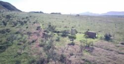 Chácara 8ha – Benfetirória na região do Vale Verde – Alto Paraíso – Chapada dos Veadeiros Chácara 8ha – Benfetirória na região do Vale Verde – Alto Paraíso – Chapada dos Veadeiros