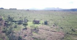 Chácara 8ha – Benfetirória na região do Vale Verde – Alto Paraíso – Chapada dos Veadeiros Chácara 8ha – Benfetirória na região do Vale Verde – Alto Paraíso – Chapada dos Veadeiros