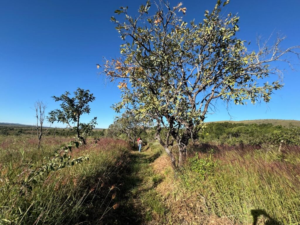 Chácara 8ha – Benfetirória na região do Vale Verde – Alto Paraíso – Chapada dos Veadeiros