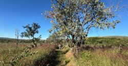 Chácara 8ha – Benfetirória na região do Vale Verde – Alto Paraíso – Chapada dos Veadeiros Chácara 8ha – Benfetirória na região do Vale Verde – Alto Paraíso – Chapada dos Veadeiros