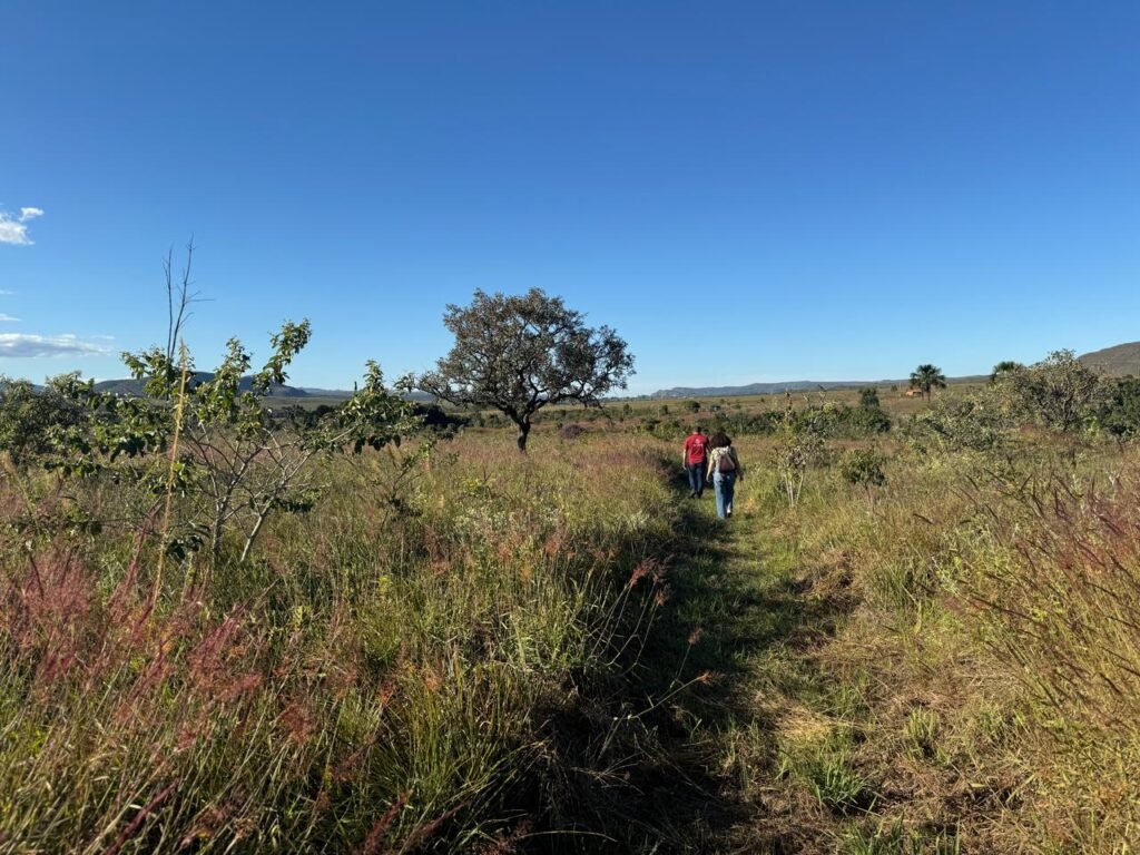 Chácara 8ha – Benfetirória na região do Vale Verde – Alto Paraíso – Chapada dos Veadeiros