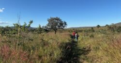 Chácara 8ha – Benfetirória na região do Vale Verde – Alto Paraíso – Chapada dos Veadeiros Chácara 8ha – Benfetirória na região do Vale Verde – Alto Paraíso – Chapada dos Veadeiros