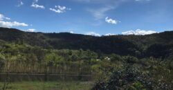 2 Casas – Lote 1.985 m2 – Urbano – 200m da Cachoeira da Usina – Alto Paraíso de Goiás