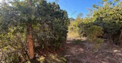 2 Casas – Lote 1.985 m2 – Urbano – 200m da Cachoeira da Usina – Alto Paraíso de Goiás