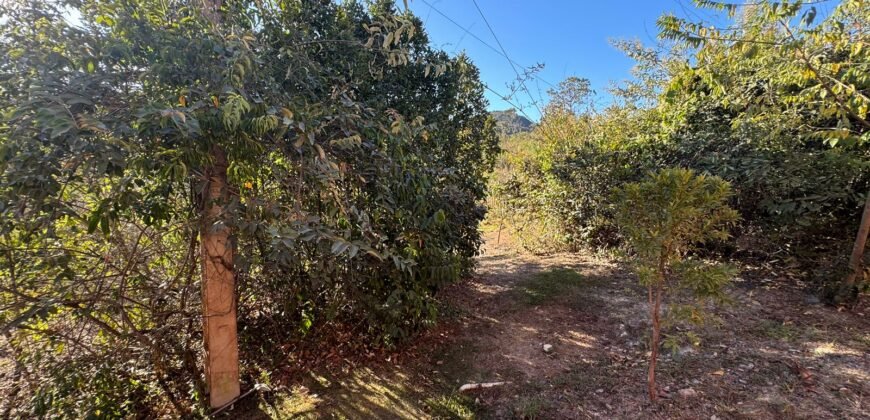 2 Casas – Lote 1.985 m2 – Urbano – 200m da Cachoeira da Usina – Alto Paraíso de Goiás