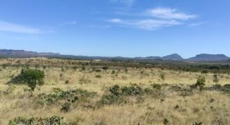 Chácara 5ha – na Fazenda São Bento – entre Alto Paraíso e São Jorge Chácara 5ha – na Fazenda São Bento – entre Alto Paraíso e São Jorge