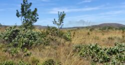 Chácara 5ha – na Fazenda São Bento – entre Alto Paraíso e São Jorge