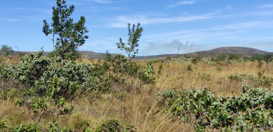 Chácara 5ha – na Fazenda São Bento – entre Alto Paraíso e São Jorge