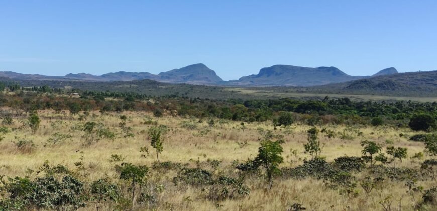 Chácara 5ha – na Fazenda São Bento – entre Alto Paraíso e São Jorge