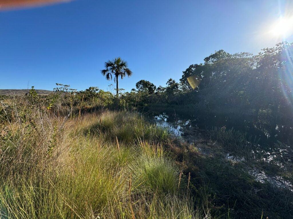 Chácara 16.000m2 + Chalé – 5km de Alto Paraíso de Goiás –  Chapada dos Veadeiros