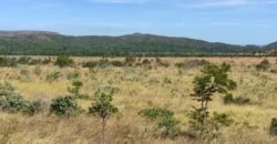 Chácara 5ha – na Fazenda São Bento – entre Alto Paraíso e São Jorge