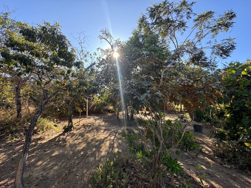 Chácara 16.000m2 + Chalé – 5km de Alto Paraíso de Goiás –  Chapada dos Veadeiros