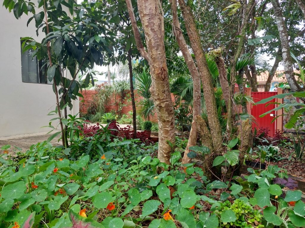4 Kitinetes – Porteira Fechada – Estância Paraíso – Alto Paraíso de Goiás