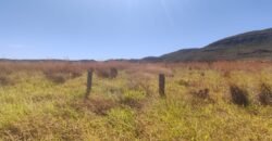 Chácara 5ha – na Fazenda São Bento – entre Alto Paraíso e São Jorge