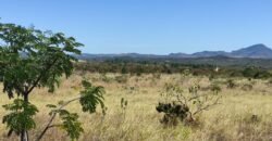 Chácara 5ha – na Fazenda São Bento – entre Alto Paraíso e São Jorge