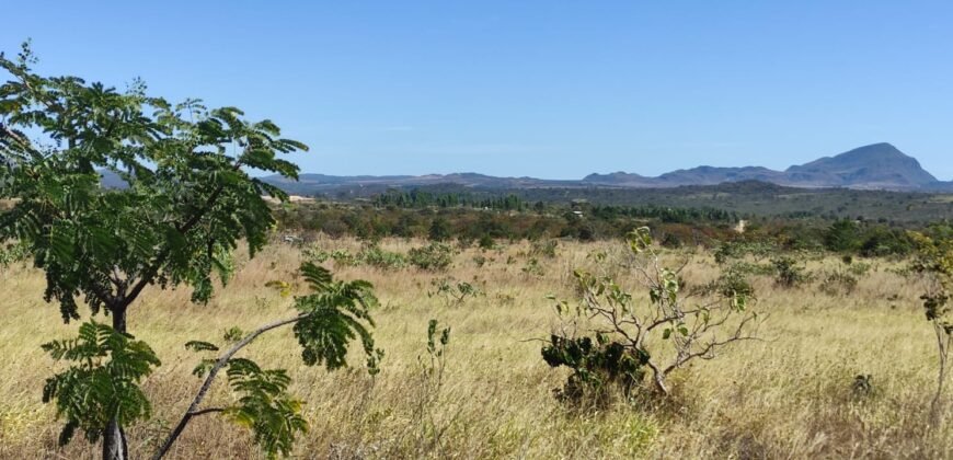 Chácara 5ha – na Fazenda São Bento – entre Alto Paraíso e São Jorge