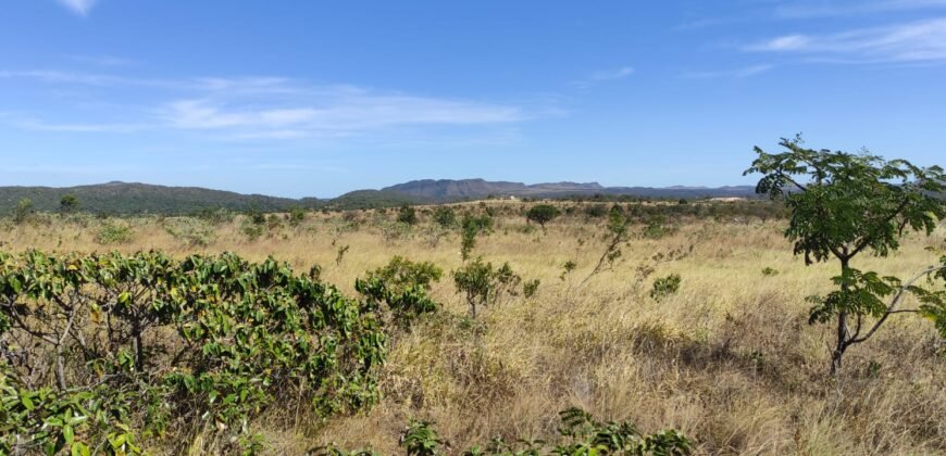 Chácara 5ha – na Fazenda São Bento – entre Alto Paraíso e São Jorge