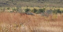 Chácara 5ha – na Fazenda São Bento – entre Alto Paraíso e São Jorge