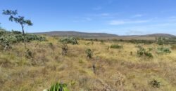 Chácara 5ha – na Fazenda São Bento – entre Alto Paraíso e São Jorge