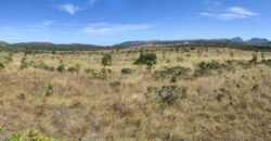 Chácara 5ha – na Fazenda São Bento – entre Alto Paraíso e São Jorge