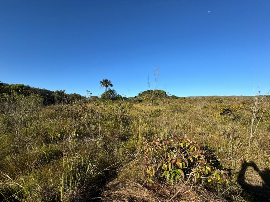 Chácara 16.000m2 + Chalé – 5km de Alto Paraíso de Goiás –  Chapada dos Veadeiros