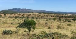 Chácara 5ha – na Fazenda São Bento – entre Alto Paraíso e São Jorge