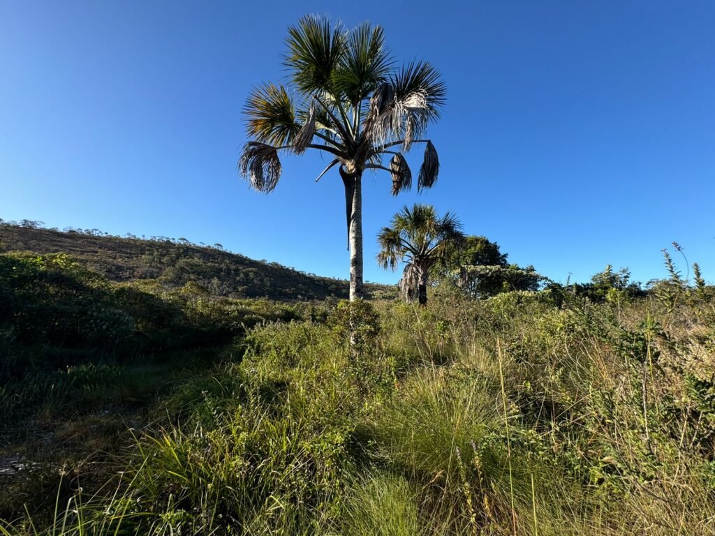 Chácara 16.000m2 + Chalé – 5km de Alto Paraíso de Goiás –  Chapada dos Veadeiros
