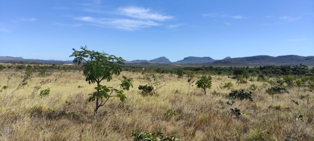 Chácara 5ha – na Fazenda São Bento – entre Alto Paraíso e São Jorge