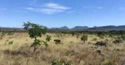 Chácara 5ha – na Fazenda São Bento – entre Alto Paraíso e São Jorge