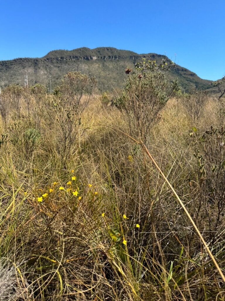 Chácara 4ha – Rio dos Couros – Alto Paraíso e Goiás