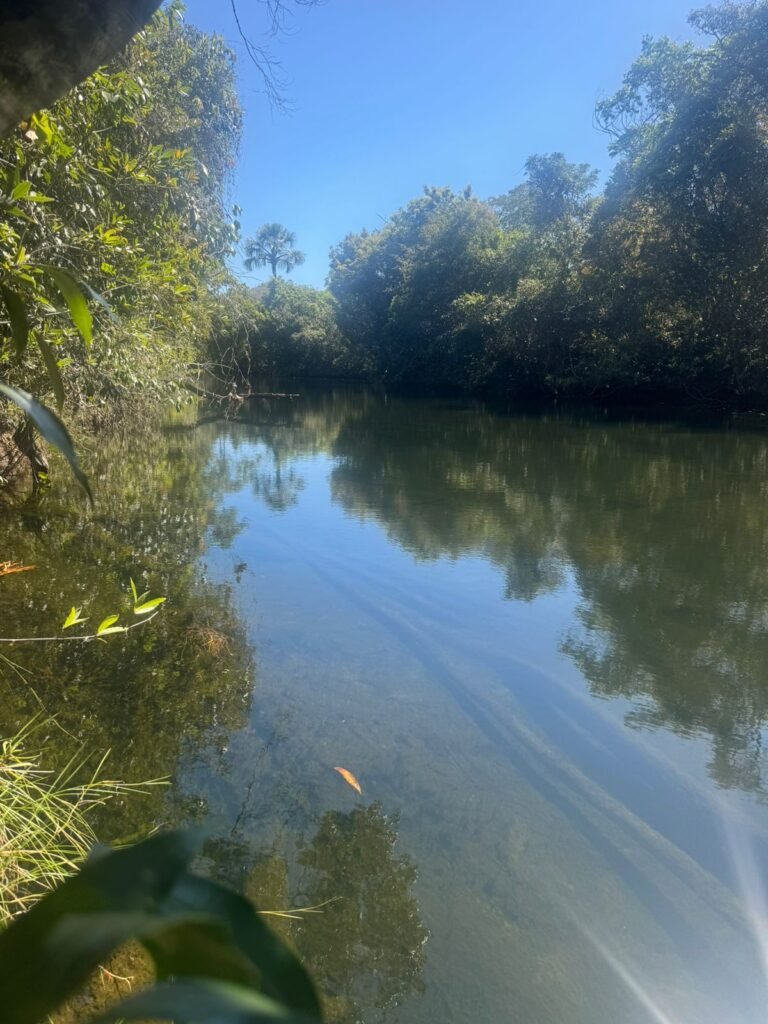 Chácara 4ha – Rio dos Couros – Alto Paraíso e Goiás