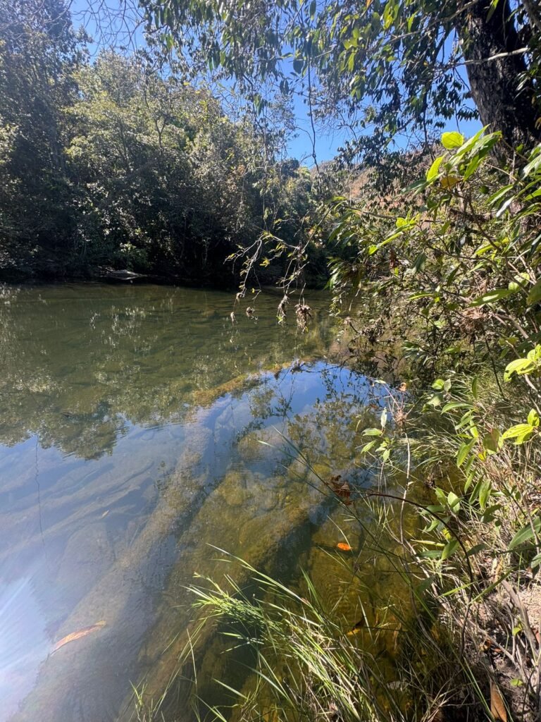 Chácara 4ha – Rio dos Couros – Alto Paraíso e Goiás