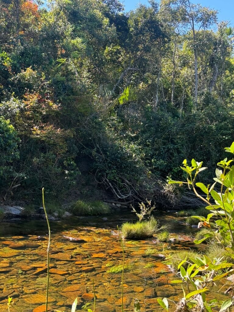Chácara 4ha – Rio dos Couros – Alto Paraíso e Goiás