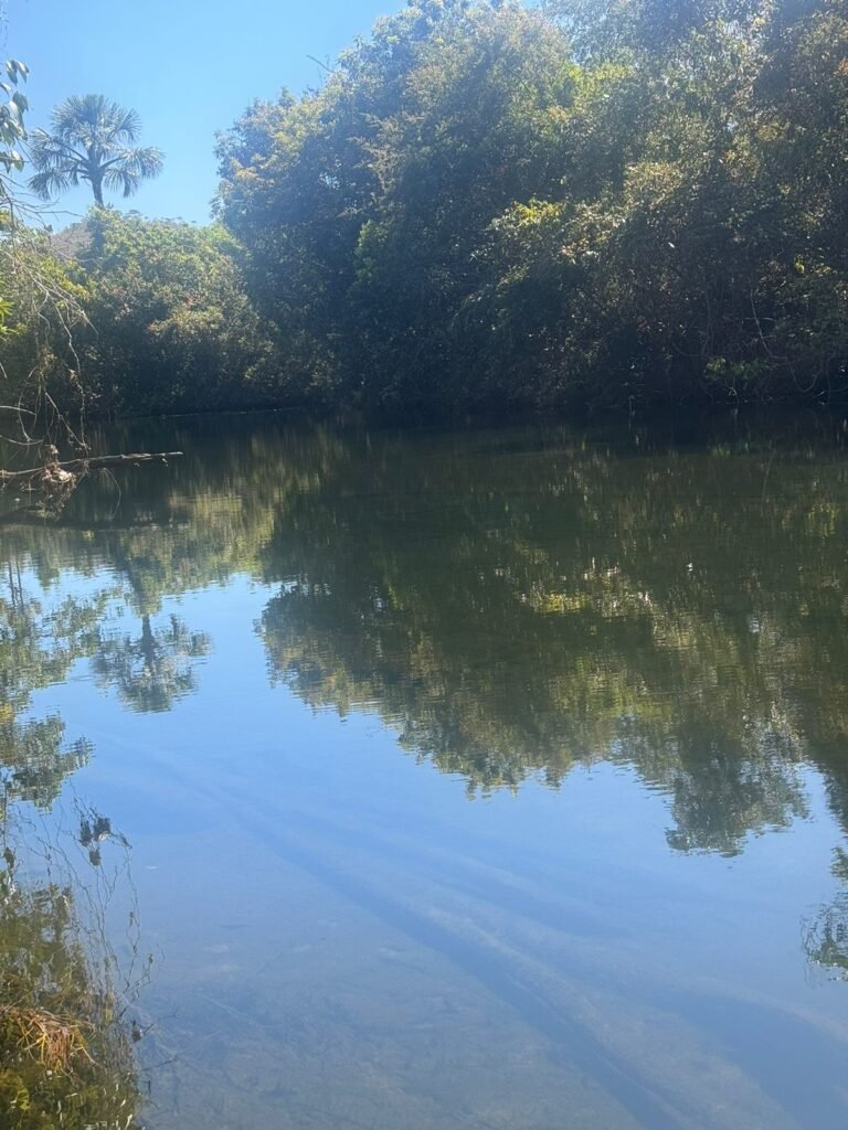 Chácara 4ha – Rio dos Couros – Alto Paraíso e Goiás