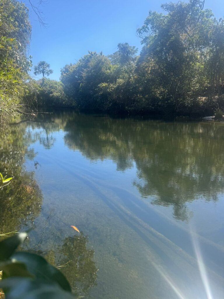 Chácara 4ha – Rio dos Couros – Alto Paraíso e Goiás