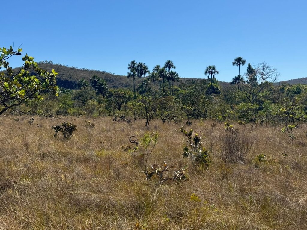 Chácara 4ha – Rio dos Couros – Alto Paraíso e Goiás