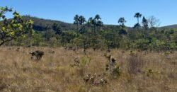 Chácara 4ha – Rio dos Couros – Alto Paraíso e Goiás